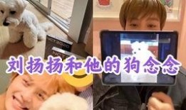 艺犬堂员工爆料视频大全,揭秘幕后真相与内幕视频大盘点